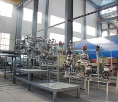 30L自動化高壓反應釜